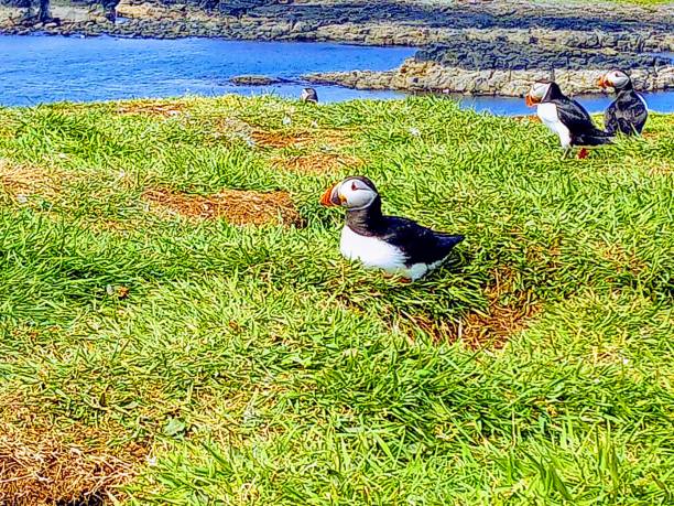 istock Up close with the friendly locals 1322321101