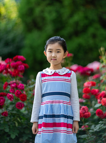 Little Girl Standing Among the Flowers