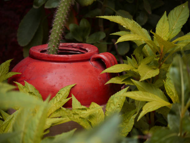 China soil made historical plant pot presented between the natural garden environment