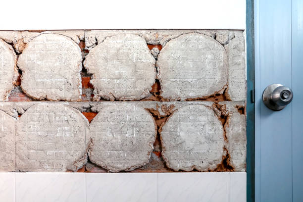 istock termite nest, termite nest in the cracks cement wall 1322330121