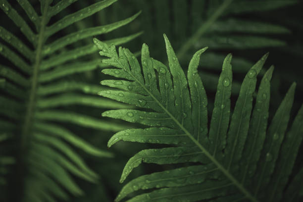 istock Shades of Green 1322330473