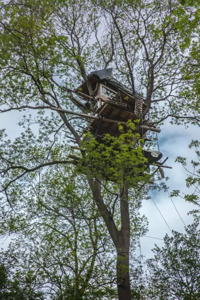 inhabited tree houses of the nature Conservation activists in the Hambach Forest