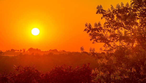 istock Sundown over fields and trees in a green hilly grassy landscape under a colorful sky in sunlight in springtime 1322331736