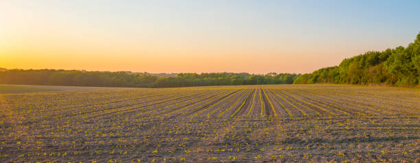 istock Sundown over fields and trees in a green hilly grassy landscape under a colorful sky in sunlight in springtime 1322331788