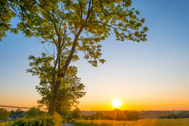 istock Sundown over fields and trees in a green hilly grassy landscape under a colorful sky in sunlight in springtime 1322331851