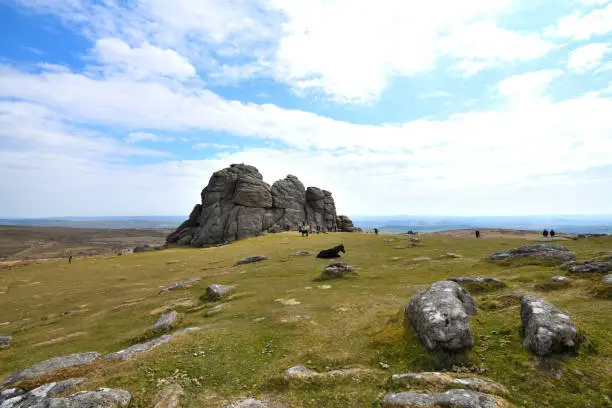 The photo is taken with a wide angle lens. There is a black pony visible in the distance lying on the grass. In the background is Haytor which is a well-known rocky outcrop in the Dartmoor National Park. The granite outcrops in Dartmoor are known as ‘tors’

Dartmoor is situated in the south-west of the UK in an area often known as the West Country. It is a tourist destination. The photo was taken in April 2021.