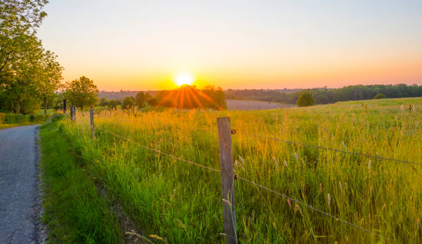 istock Sundown over fields and trees in a green hilly grassy landscape under a colorful sky in sunlight in springtime 1322333092
