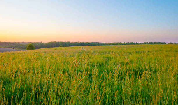 istock Sundown over fields and trees in a green hilly grassy landscape under a colorful sky in sunlight in springtime 1322333127