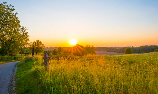 istock Sundown over fields and trees in a green hilly grassy landscape under a colorful sky in sunlight in springtime 1322333221