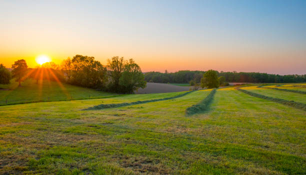 istock Sundown over fields and trees in a green hilly grassy landscape under a colorful sky in sunlight in springtime 1322333251