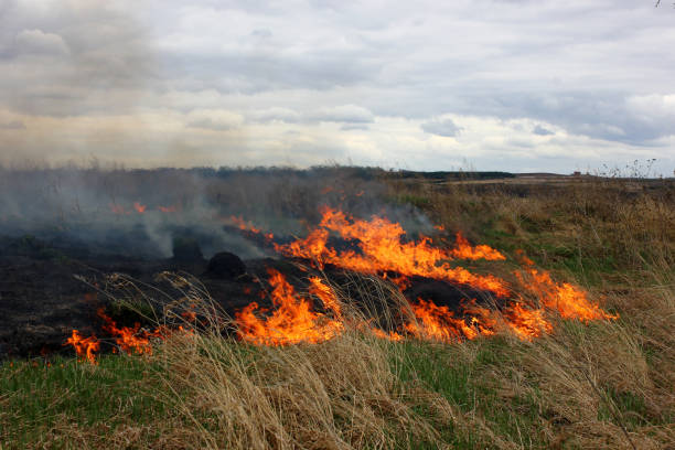 istock burning dry grass in the field 1322334391