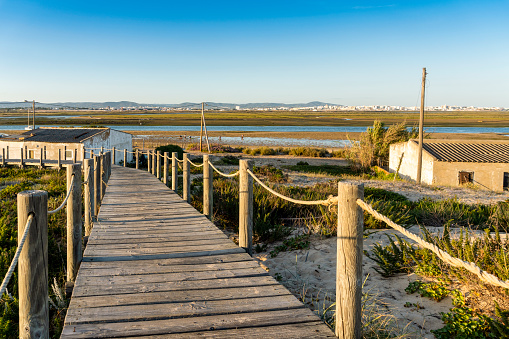 Wooden walkways with view on wetlands of Ria Formosa on Faro Beach Peninsula, Faro, Algarve, Portugal