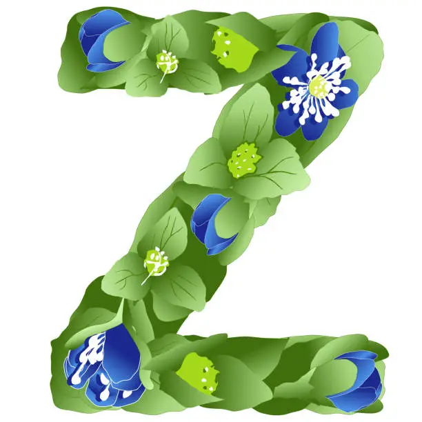 Vector illustration of vector image of the letter Z of the English alphabet made in the form of flowers and leaves of liverwort