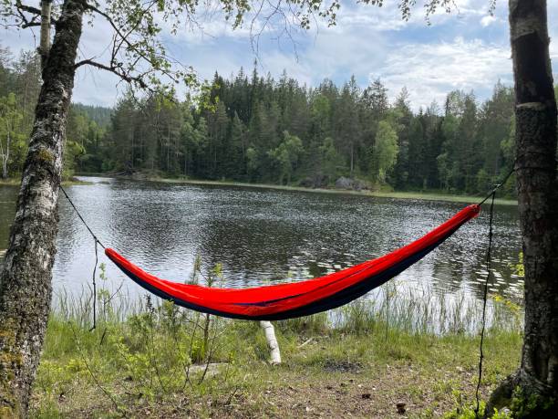 istock Hammoch by the lake 1322338591