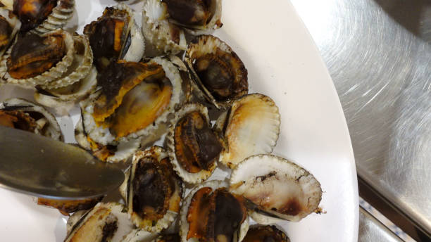 istock Thai style blood clam bbq grilling top view 1322342462