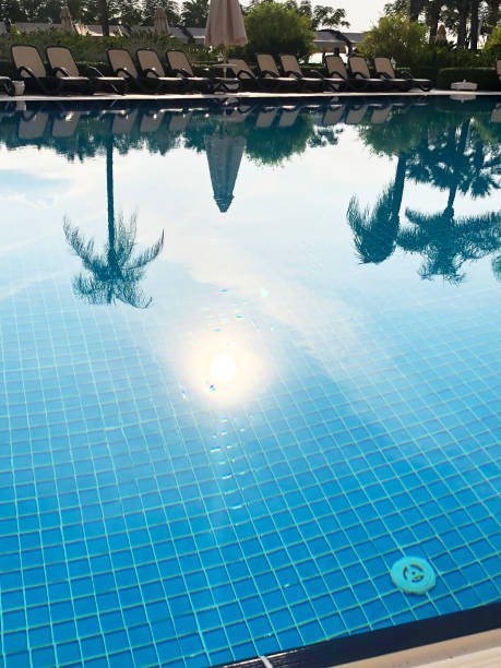 istock Summer background sun, palm trees and pool 1322347076