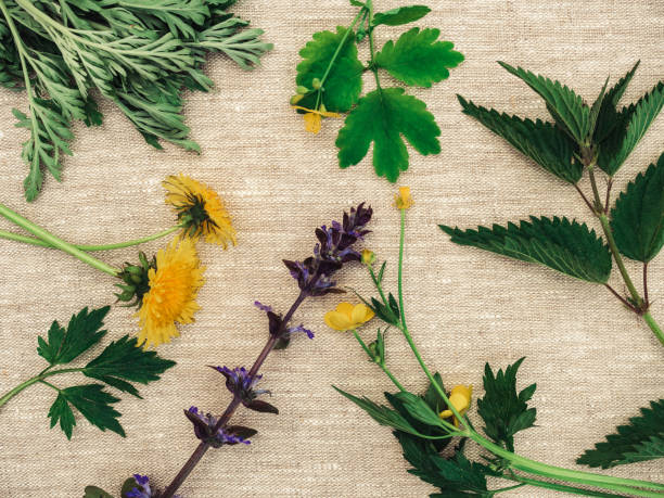 istock Bright flowers lying on the table. Close-up 1322347106