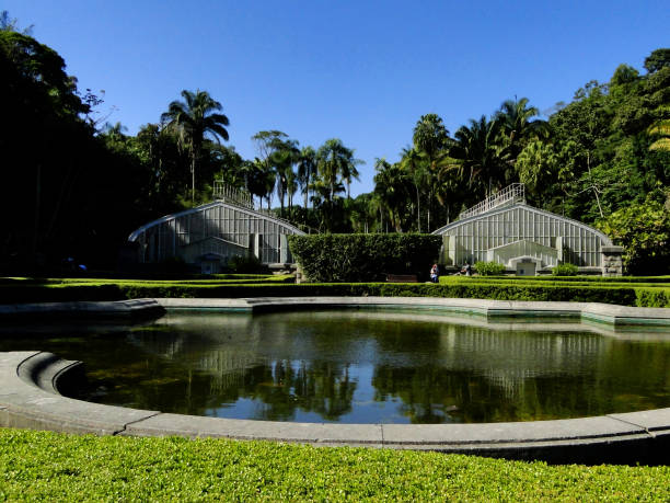 jardín botánico de sao paulo - jardín botánico fotografías e imágenes de stock