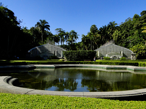 Sao Paulo's Botanical Garden - Greenhouse general view