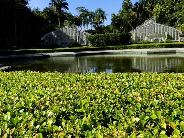 istock Sao Paulo's Botanical Garden 1322348996