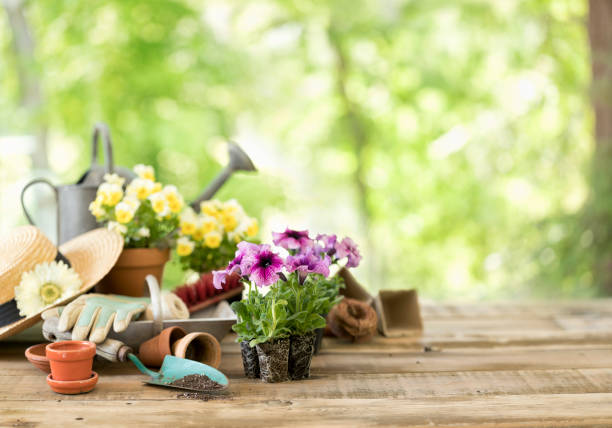 istock Garden Equipment and Spring Flowers Background 1322349762