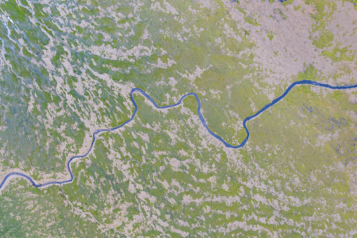 Aerial view of river meander in the lush green vegetation of the delta.\nBeautiful landscape - wild river in USA.\nNational nature reserve in summer.