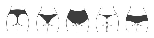 팬티의 다른 유형. 란제리 백 뷰 의 컬렉션. 여성 속옷의 벡터 실루엣 - 엉덩이 stock illustrations