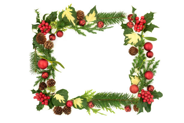 istock Creative Abstract Christmas Background with Flora and Greenery 1322352441