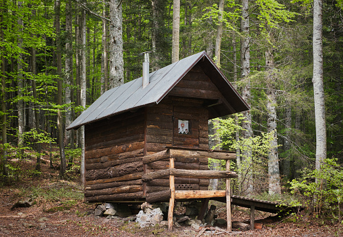 tiny log cabin in the forest