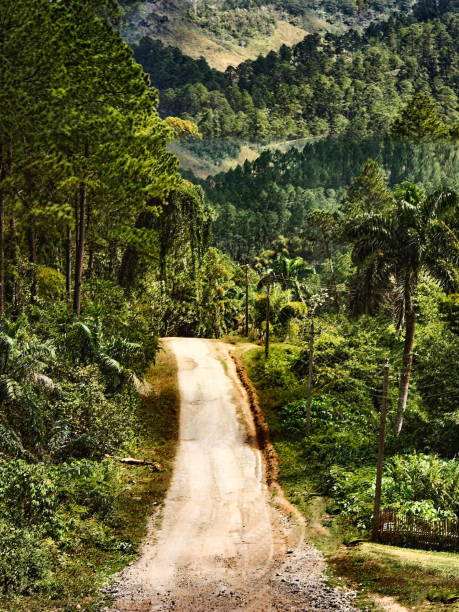 View of a country road and landscape in Cuba