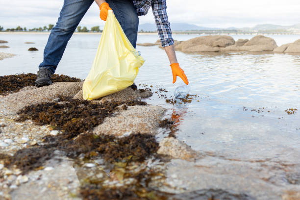istock Man collecting a plastic bottle on the beach. 1322354436