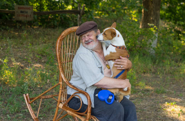 istock Young basenji licks the master's face while sitting on the hands 1322355591