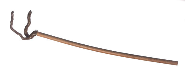 istock wooden sorcerer staff isolated on white background 1322359220