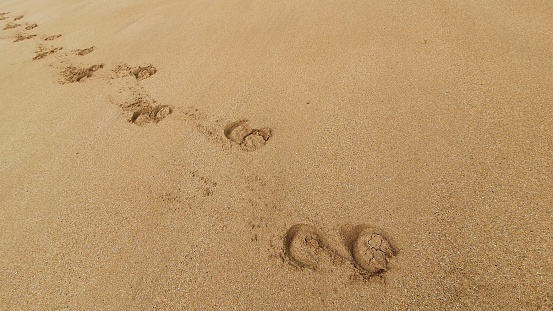 Close up of imprints of horse's hooves in sand