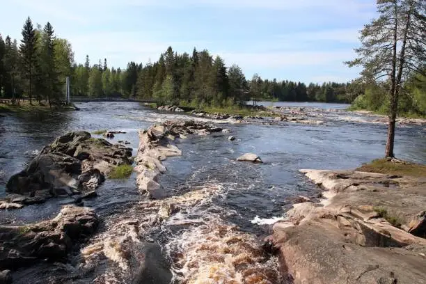 Beautiful river scenery with cliffs, forest and rapids. The scenery is nordic. It is late spring or early summer. The photo is taken in recreational area of Koiteli in Oulu, Finland.