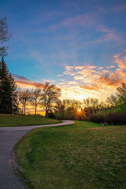 istock Sunrise Shining Over A Spring Park 1322360630