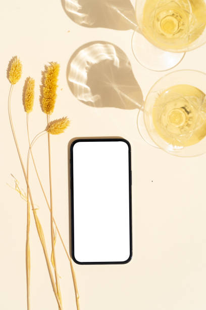 istock Champagne and grass styled stock scene 1322362207
