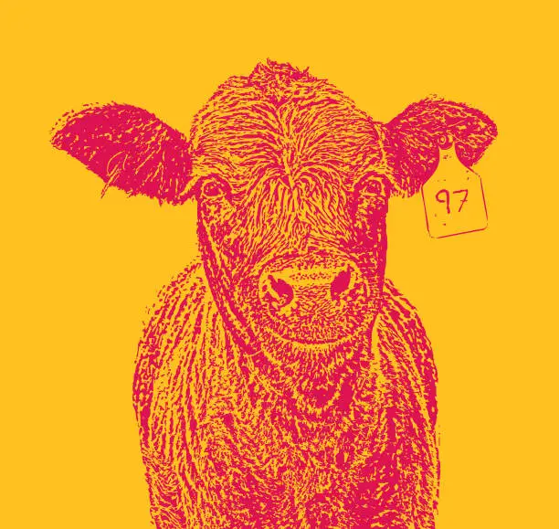 Vector illustration of Cute smiling Red Angus cow.