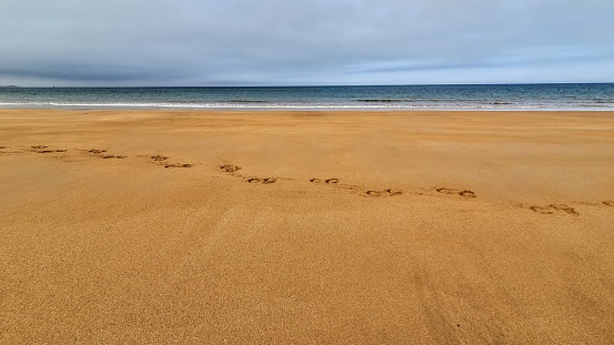 Footprints across the sand