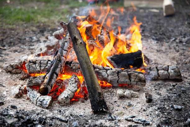 istock Close up of a burning bonfire in the forest. 1322364087