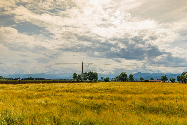 istock Spring in the Piedmontese countryside 1322365606