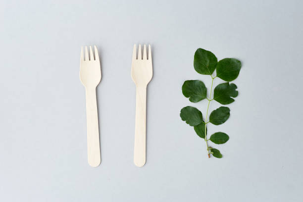 istock Eco friendly disposable dishes on gray background. Sustainable lifestyle concept. zero waste, plastic free, stop plastic pollution. 1322367196