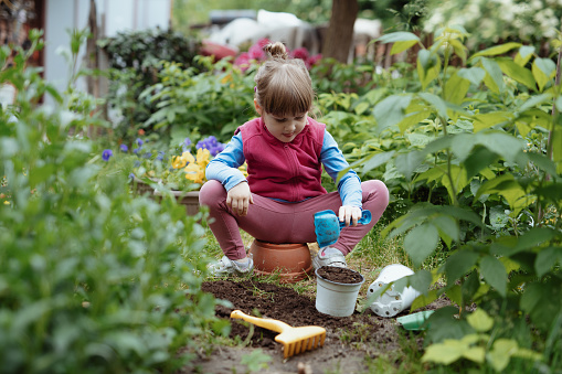 Four year old girl playing in garden, gardening and planting