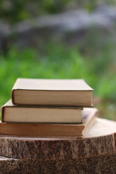 istock Books in a Garden 1322370589