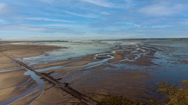 frühmorgens über den damm zur holy island von lindisfarne, northumberland, uk - northumberland england lindisfarne northeastern england england stock-fotos und bilder