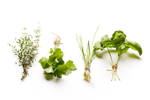 Chives, parsley, mint and thyme bound together with a small piece of brown rope on a white background.