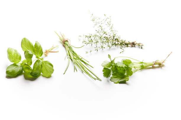 istock Fresh herbs: Chives, parsley, mint and thyme 1322370867