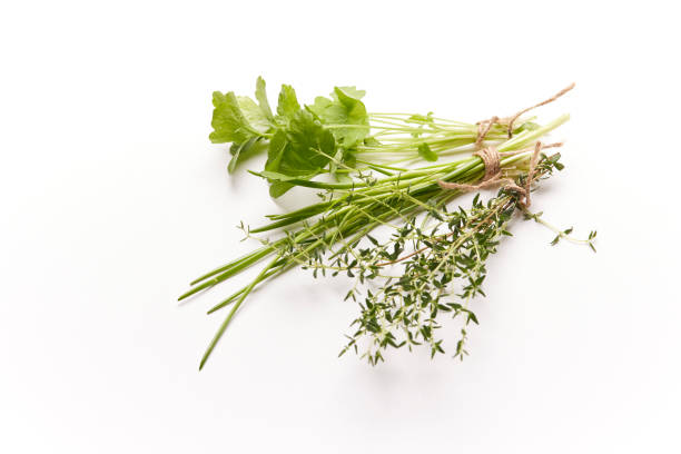 istock Fresh herbs: Chives, parsley and thyme 1322370933