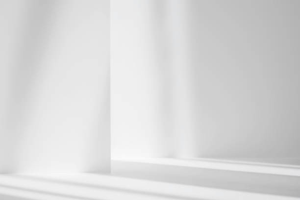 istock Abstract white studio background for product presentation. Empty gray room with shadows of window. Display product with blurred backdrop. 1322375296