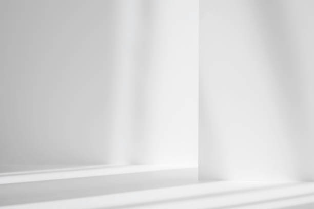 istock Abstract white studio background for product presentation. Empty gray room with shadows of window. Display product with blurred backdrop. 1322375298